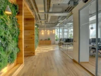 Biophilic Design: Tips for Integrating Nature into Your Spaces