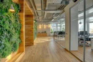 Biophilic Design: Tips for Integrating Nature into Your Spaces